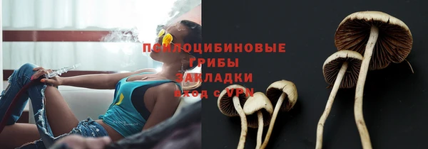 винт Весьегонск