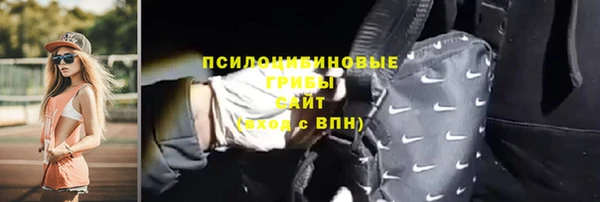 винт Весьегонск