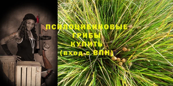 стаф Няндома