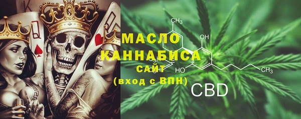 соль ск Ветлуга