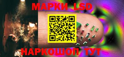 шишки Аргун