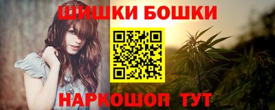 шишки Аргун