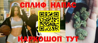 шишки Аргун