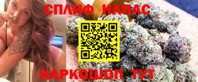 шишки Аргун