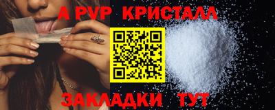 шишки Аргун