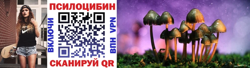 Псилоцибиновые грибы MAGIC MUSHROOMS  хочу наркоту  Асино 