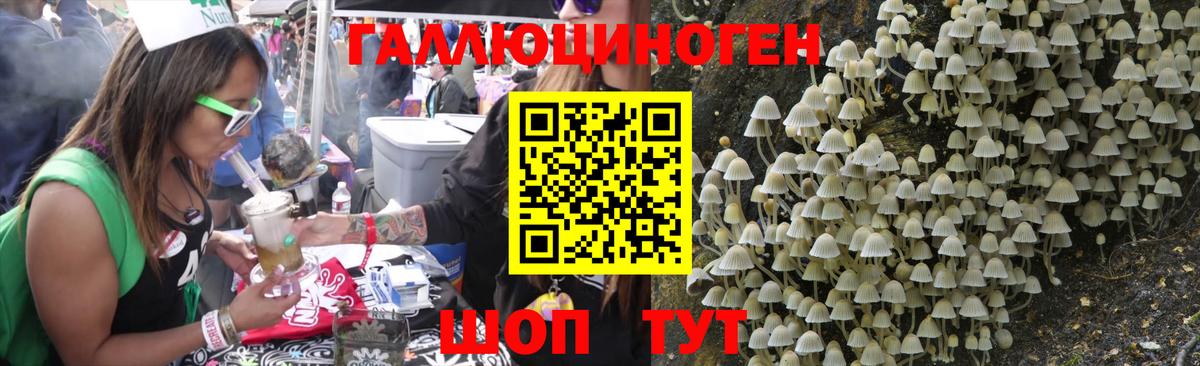 Галлюциногенные грибы Magic Shrooms  Асино 
