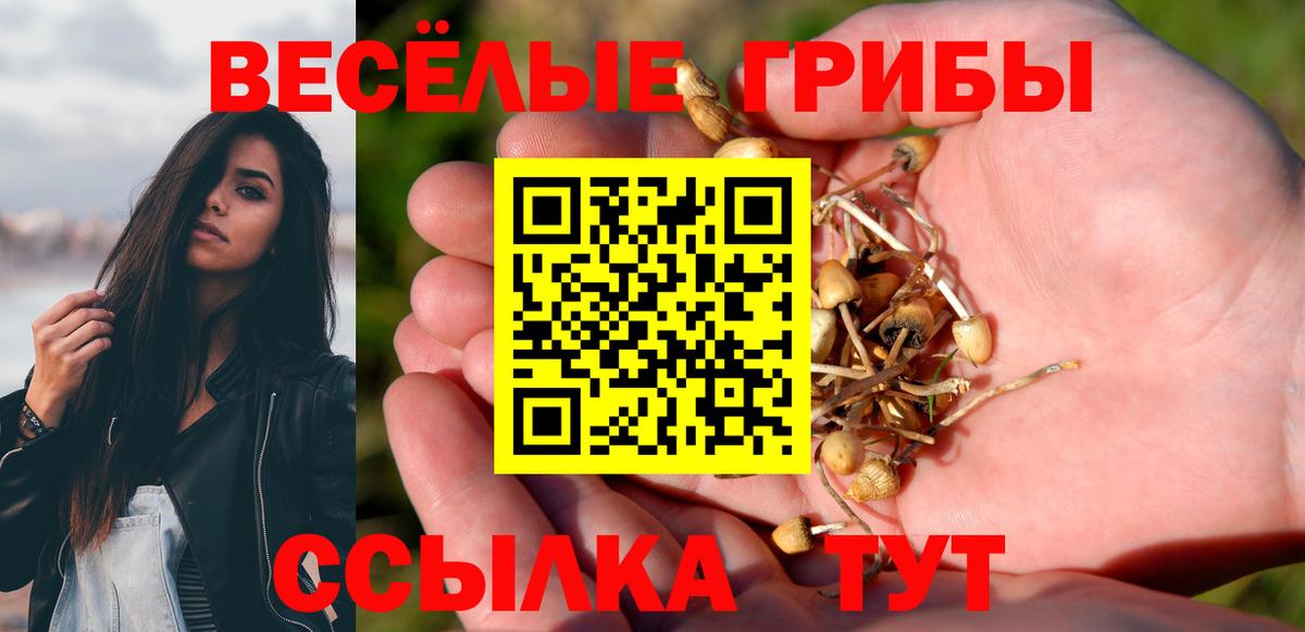 Псилоцибиновые грибы мицелий  Галлюциногенные грибы Psilocybine cubensis  Вход с VPN  Асино 