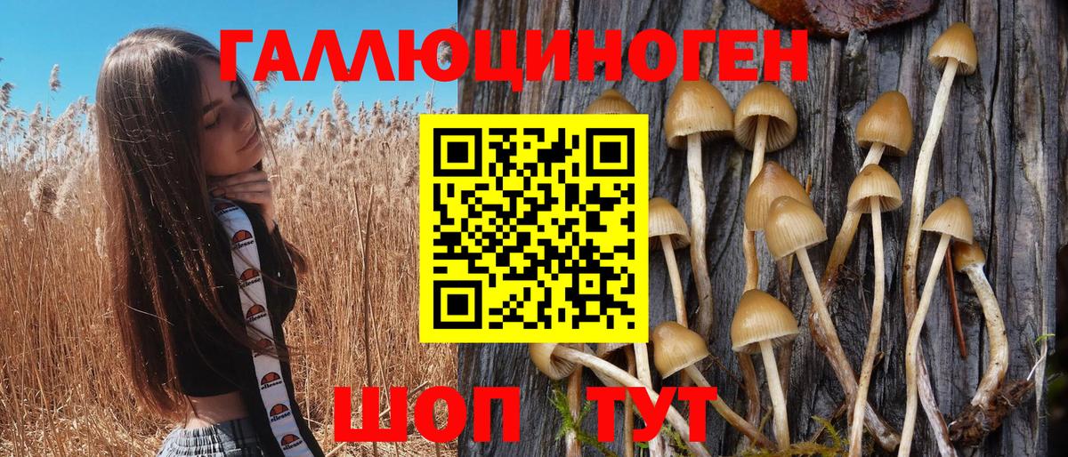 Галлюциногенные грибы MAGIC MUSHROOMS Асино