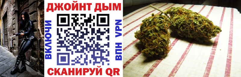 МЕГА вход  Асино  Марихуана сатива 